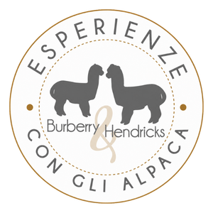 Esperienza con gli Alpaca
